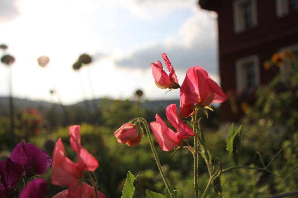 B&B Hofgenuss Ganterschwil Extérieur photo